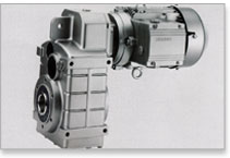 MOTOX Parallel Shaft Geared Motors
